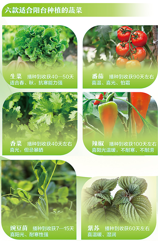 db6c2eff-f9b8-43b3-a8f7-ad43fad857f7.jpg