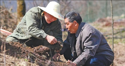 1ac3cbf8-f884-4110-b21f-24630ffcfd0d.jpg 1ac3cbf8-f884-4110-b21f-24630ffcfd0d.jpg